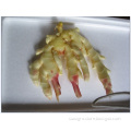 /msite/products/detail/productid/56327330/id/572588.html